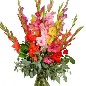 Букет MIX из 15 гладиолусов с зеленью